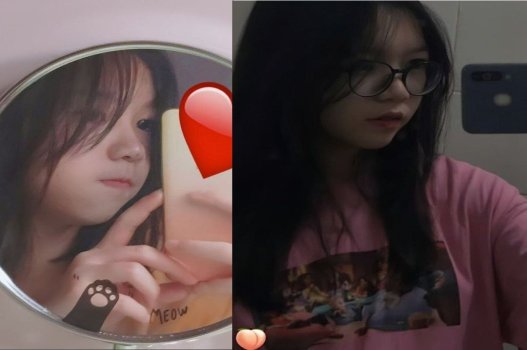 Nên pha trộn rau cỏ non và 